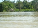 54623Bulungan (121).JPG
