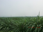 32751CIMG1883.JPG