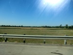 56769CIMG1859.JPG