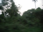 4092RIMG0397.JPG