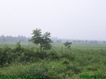 1160R0015029_tag.jpg