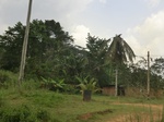 49859CIMG6196.JPG