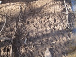 8614IMG_1239.JPG