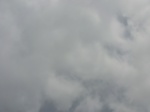 47730CIMG4067.JPG