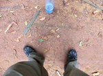 46133CIMG0422.JPG