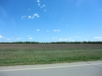 29994CIMG0685.JPG