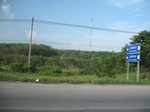 33664IMG_5862.JPG
