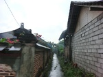 30692CIMG0508.JPG
