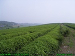 1202R0015050_tag.jpg