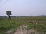 28095RIMG0150.JPG