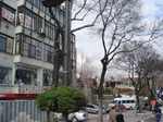 16753DSC05218.JPG