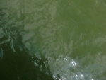 58071CIMG2365.JPG