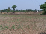 518723042008(6).JPG