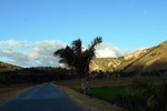 28590P1010607-1.JPG