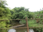 44074CIMG1259.JPG