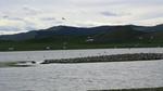 33766CIMG2429.JPG