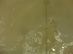 58582CIMG3032.JPG