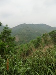 53611CIMG6977.JPG