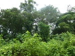 20667P1020524.JPG