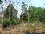 9220DSC03577.JPG