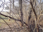 10083DSC02809.JPG