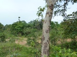 18619P1000456.JPG