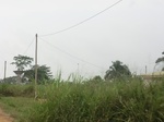 48183CIMG4520.JPG