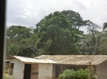49634CIMG5971.JPG