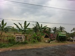 31736CIMG1604.JPG