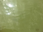 58305CIMG2753.JPG