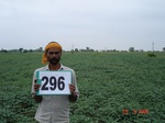130580296a-rainfed-agriculture-soyabean-dominant-blackgram-doublecrop-wheat.gif