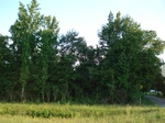 32591p235.jpg