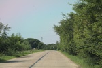 2024-08-05_14-43-47_E60985DC-FB3D-4E32-80F1-88479C501A61.jpeg