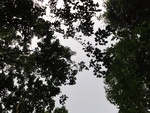 46653DSC01986.JPG