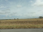 35899DSC02667.JPG