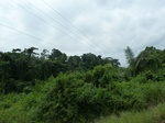 20288P1020144.JPG