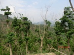 53757CIMG7157.JPG