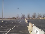 10063DSC02789.JPG