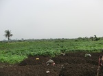 50767CIMG1396.JPG