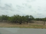 35383DSC02895.JPG
