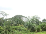 49420CIMG5757.JPG