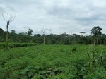 20270P1020125.JPG