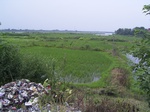 2375 445.jpg