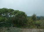 55655CIMG2430.JPG