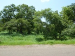 19550P1010397.JPG