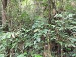46693DSC02027.JPG
