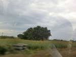 56015CIMG6704.JPG