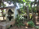 31450CIMG1314.JPG