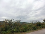 55884CIMG6574.JPG