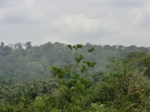 49468CIMG5805.JPG